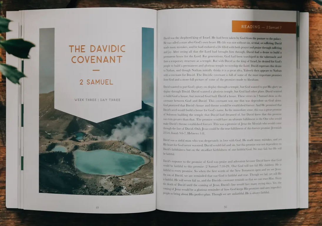 Amen - The Story of Scripture from Eden to Eternity - Bible Study for Men